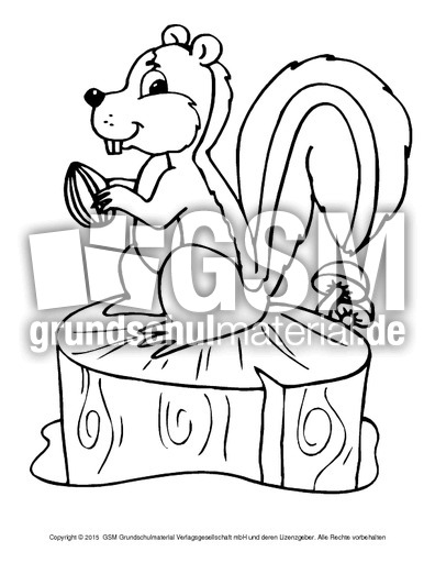 Ausmalbild-Eichhörnchen-A 3.pdf